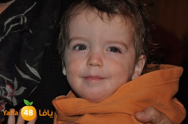 tree light 1208 (95).JPG